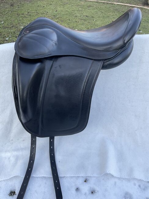 Eques Islandsattel, Eques, Braun, Icelandic Saddle, Nümbrecht 