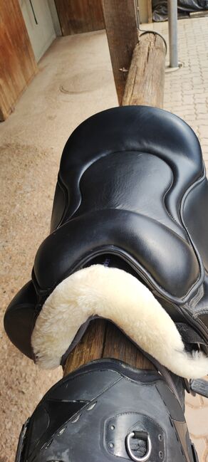 Eques Sattelkissen, Eques , Christiane , Icelandic Saddle, Schadendorf, Image 3