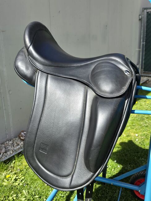 Eques Sattel Black Edition 17 Zoll + Gurt + Steigbügel, Eques Black Edition , Elisabeth , Icelandic Saddle, Zirl, Image 2