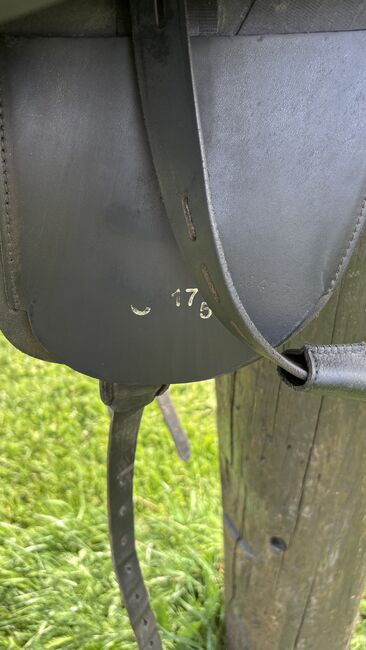 Eques X Sattel, 17,5 Zoll Woll- & Latexkissen //Isländer, Eques Eques X, Wendy, Isländersattel, Lamstedt, Abbildung 3