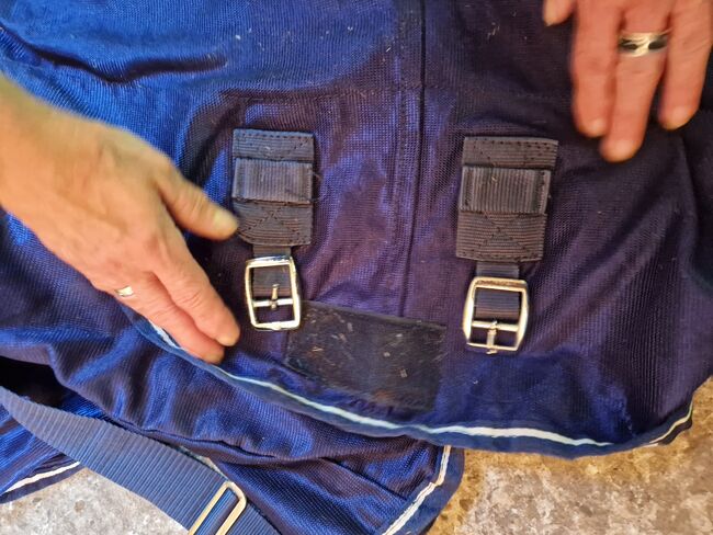 Equest fliegendecke 145cm blau, Equest Fliegendecke , K. Werner, Horse Blankets, Sheets & Coolers, Westerwalsede, Image 5