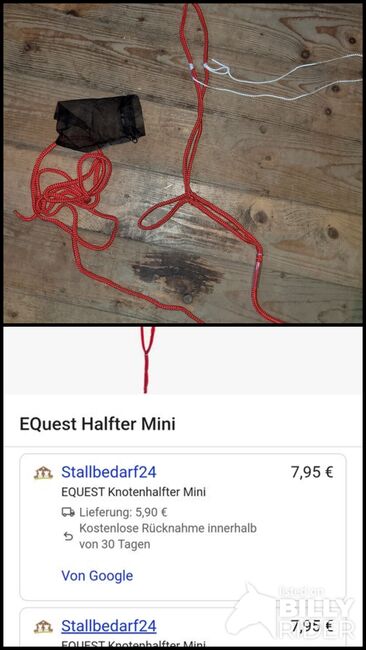 Equest Halfter Mini, Equest, Sabine, Halfter, Lastrup, Abbildung 3