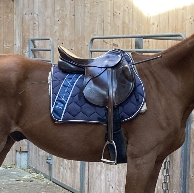 Equest Schabracke dunkelblau VS Warmblut, Bernadett, Schabracken, Kaufbeuren