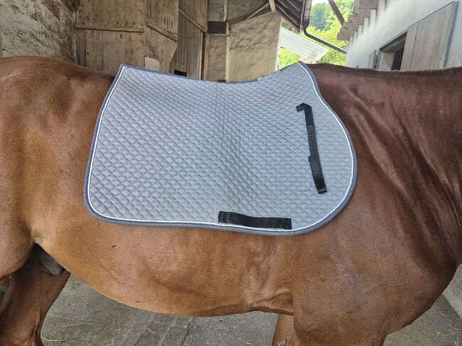 Equest Schabracke VS grau, Tamara O., Dressage Pads, Windisch, Image 2