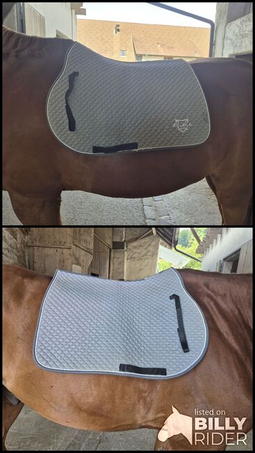 Equest Schabracke VS grau, Tamara O., Dressage Pads, Windisch, Image 3