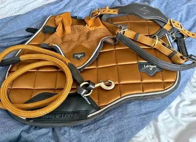 Equestrian accessories, Laura Joy, Sonstiges, Nottingham , Abbildung 7