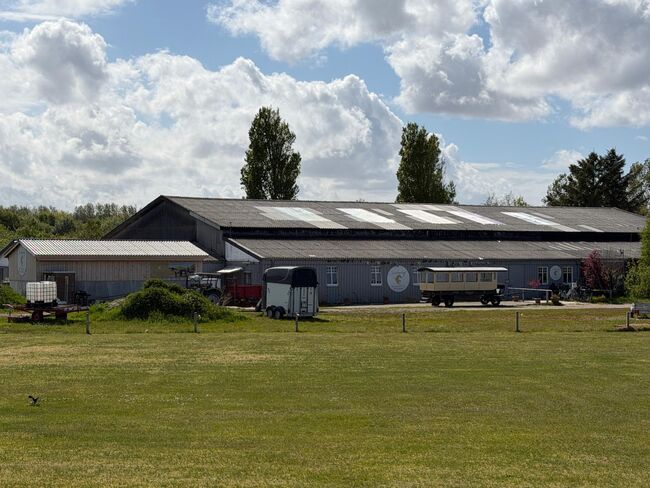 Reitanlage auf Langeoog - Reithalle, 19 Boxen & Paddocks - Reitstall Süderhof, Marvin, Equestrian Properties, Langeoog