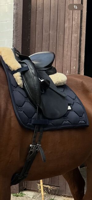 Equestrian Stockholm Set WB DL Dressur Schabracke, Equestrian Stockholm Modern Tech, Kira, Dressage Pads, Mölln, Image 6