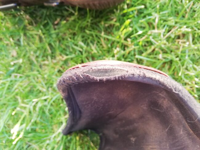 Equick Gamaschen M, Equick , Sauerborn , Tendon Boots, Isernhagen , Image 6