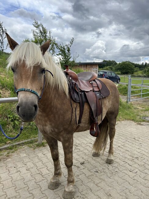 Equiflex Sattel neuwertig 54/16, Continental  Equiflex, Simone , Western Saddle, Weitersburg , Image 3