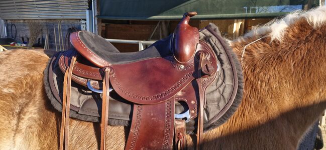 Equiflex Westernsattel, Nicole Ott, Western Saddle, Grüningen, Image 2