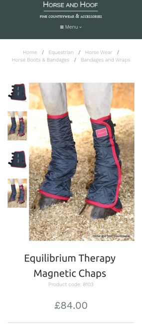 Equilibrium therapy magnetic boots / chaps, Equilibrium , Jemima, Other, Gloucester, Image 4