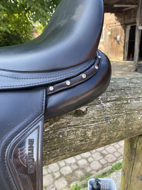 Equiline Dressursattel, Equiline  Equiline Elite, Cosima, Dressage Saddle, Wunstorf, Image 9