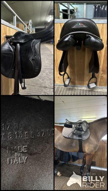 Equiline Dynamic Springsattel, Equiline Dynamic, Corinne, Springsattel, Villmergen , Abbildung 5
