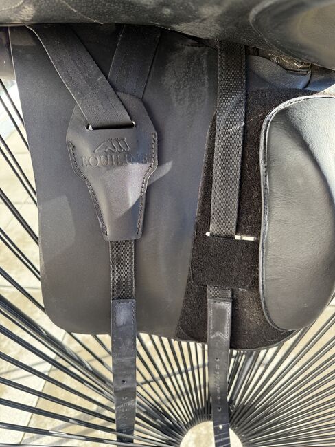 Equiline Dressursattel Elite, Equiline Elite, Irina T., Dressage Saddle, Wien, Image 5