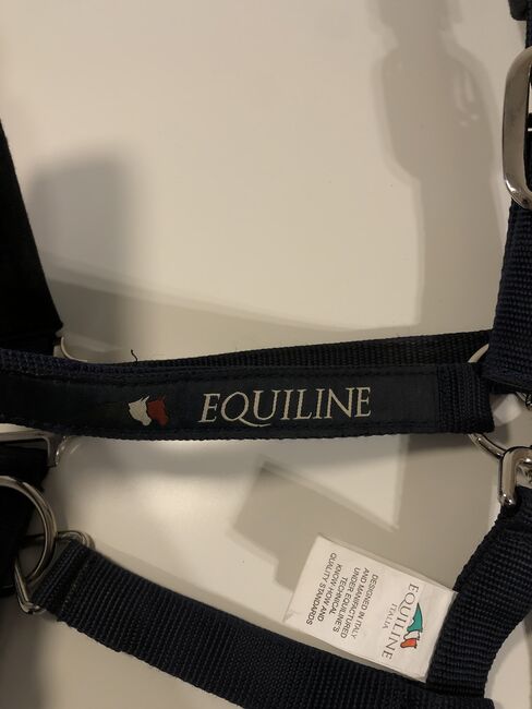 equiline halfter, Equiline , nina, Halters, Schwarzenberg, Image 2