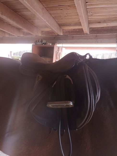 Springsattel Equiline, Equiline , Katja , Jumping Saddle, Holdorf 