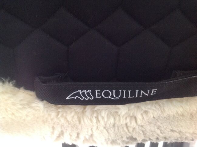 EQUILINE SCHABRACKE SNUGGLY DRESSUR, EQUILINE  SNUGGLY DRESSUR SCHABRACKE , Melanie Wolfram, Dressage Pads, Tarmstedt , Image 7