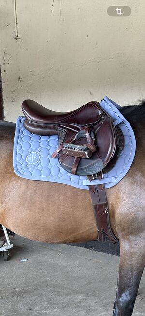 Equiline Sattel Closer 18 Zoll, Equiline Closer, Victoria, Springsattel, Berlin, Abbildung 2