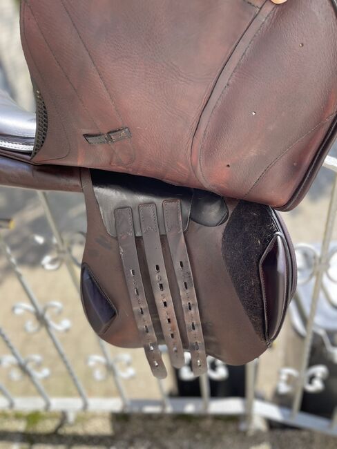 Equiline Springsattel braun, Equiline Closer , Lena , Springsattel, Wunstorf , Abbildung 3