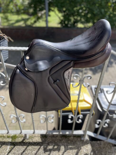 Equiline Springsattel braun, Equiline Closer , Lena , Jumping Saddle, Wunstorf , Image 5