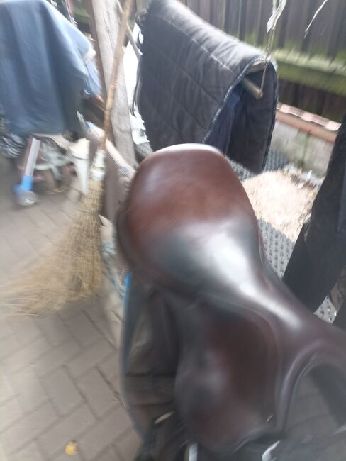 Springsattel Equiline, Equiline , Katja , Jumping Saddle, Holdorf , Image 4