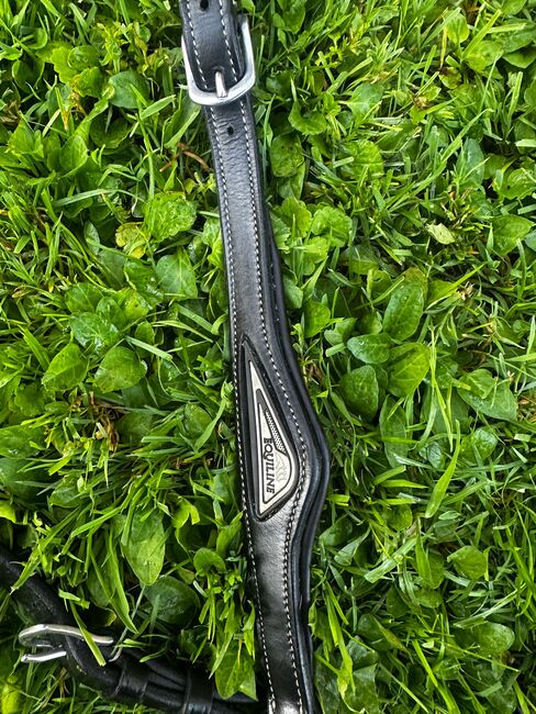 Equiline vorderzeug mit Martingalgabel WB, Equiline, Dominique , Hilfszügel, Salzburg
