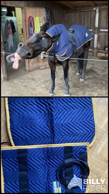Equimag Magnetfeldset, equimag Magnetfeldset expert Bemer Konkurrent, Valeska, Horse Blankets, Sheets & Coolers, Bischofsheim, Image 3