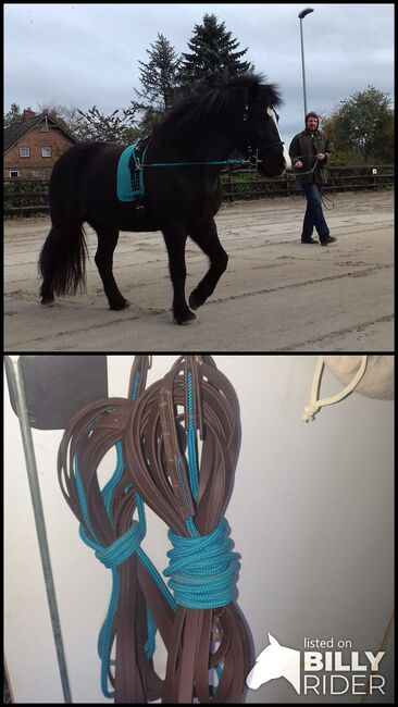 Equimero Doppellonge, Equimero Doppellonge, Kathy, Lunging, Hamburg, Image 3