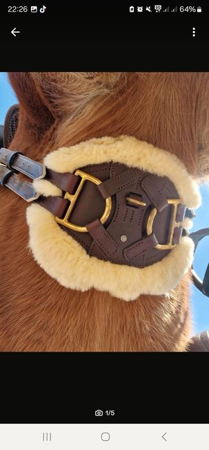 Equimero Equigurt Lammfell 70 cm, Equimero  Equigurt , Sabrina , Sattelgurte, Kempen, Abbildung 3