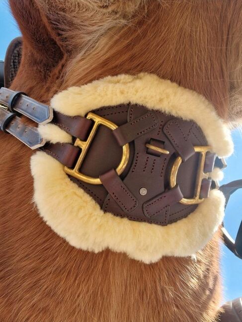 Equimero Equigurt Lammfell 70 cm, Equimero  Equigurt , Sabrina , Girths & Cinches, Kempen