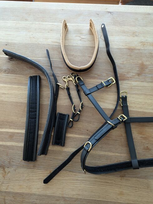 Equimero Equizaum Multifunktions-Kappzaum, Equimero  Equizaum , Nina, Bitless Bridles, Haar, Image 3