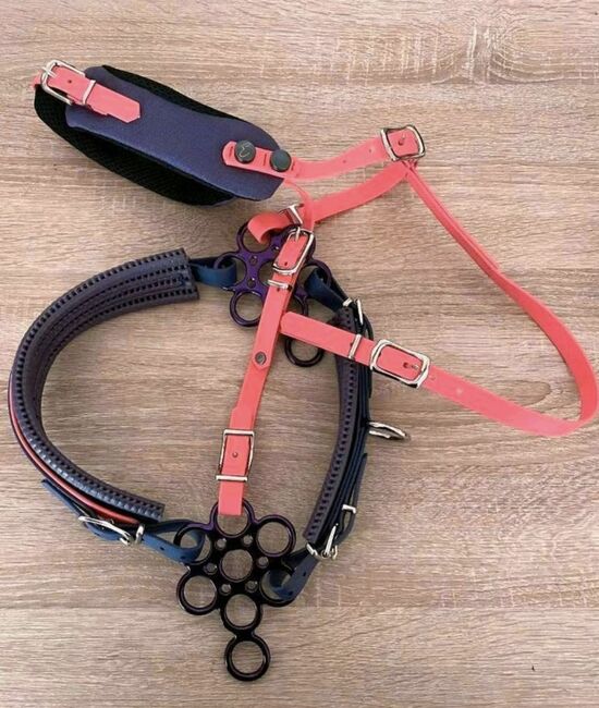 Equimero Glücksrad-Zaum mit Zubehör (Zügel, Hackamore) KB+ und WB, Equimero  Glücksradzaum, Cux Fee, Bitless Bridles, Wingst, Image 5