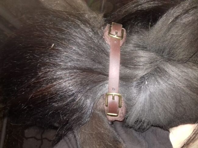 Equimero Trense Emilia, Equimero Emilia (jetzt Western Bausatz), Kathy, Bridles & Headstalls, Hamburg