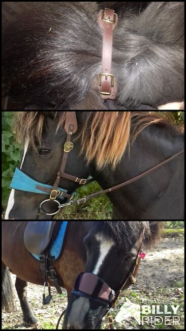Equimero Trense Emilia, Equimero Emilia (jetzt Western Bausatz), Kathy, Bridles & Headstalls, Hamburg, Image 4