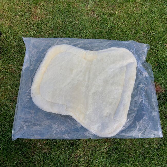 EQUINATE Sattelpad Sidney Größe 55cm weiß weich gepolstert, EQUINATE  Sidney, Nicole , Other Pads, Norderstedt, Image 3