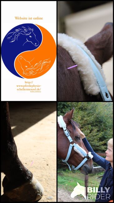 Pferdeakupunktur / Pferdephysiotherapie, DIPO Pferdephysiotherapeutin, Sylvia Scheller-Menzel, Therapy & Treatment, Urbar , Image 9