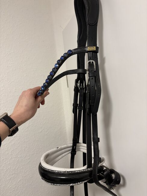 Equine Concept Trense, Equine Concept, Nathalie , Reithalfter, Büdelsdorf 