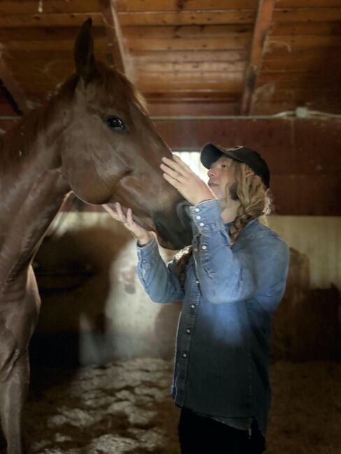 Equine Craniosacral Therapy, Aaron, Therapie & Behandlung, Los Angeles