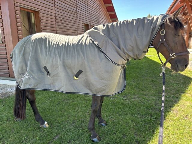Abschwitzdecke Equine-Microtec mit Halsteil, silber, 145 cm, Equine Microtec, Petra , Horse Blankets, Sheets & Coolers, München