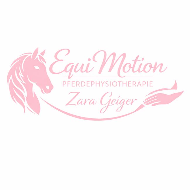 Pferdephysiotherapie, Zara, Therapy & Treatment, Allersberg 