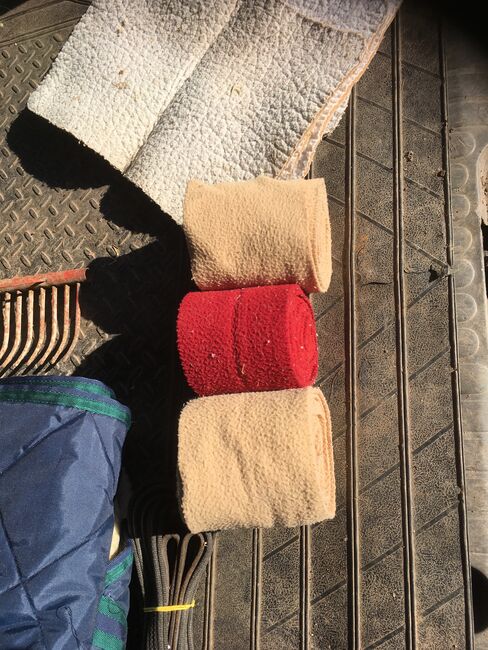 Ausstattung für dein🐴 Pferd 🐴, Miky Maus, Horse Blankets, Sheets & Coolers, Sylt, Image 6