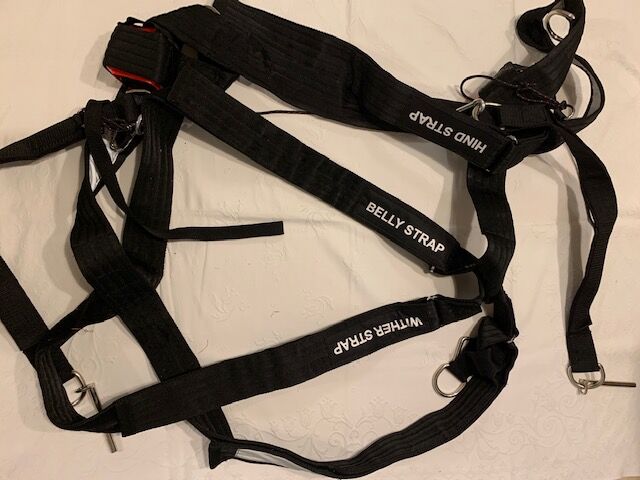 Equisafe Easy Loader, Equisafe Easy Loader, Lawrence, Pomocnicze wodze, Launceston, Image 3