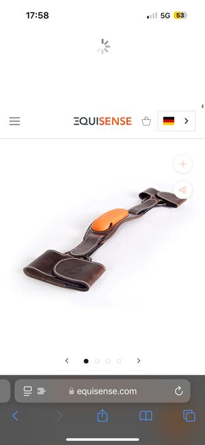 Equisense Sensor, Judith Schulz, Saddle Accessories, Groß Nemerow 