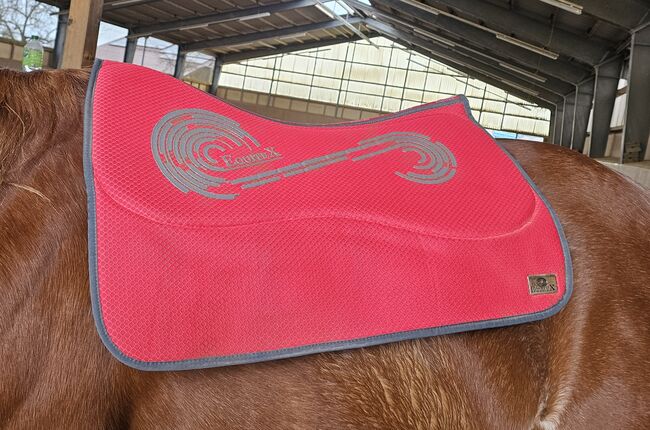 Equitex Airtech Dakota Westernpad, Equitex Airtech Dakota , Caro, Westernpads, Besigheim