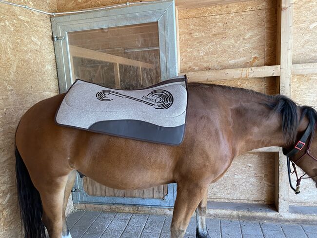 Equitex Westernpad, Equitex, Alessia Eschenmoser, Westernpads, Fideris