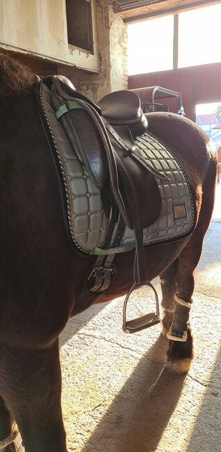 Equito Eqestrian Schabracke, Equito Equestrian Dressage Pad Peppermint, Laura, Dressage Pads, Herzogenburg, Image 5