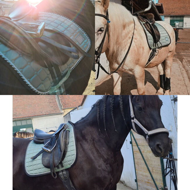 Equito Eqestrian Schabracke, Equito Equestrian Dressage Pad Peppermint, Laura, Schabracken, Herzogenburg