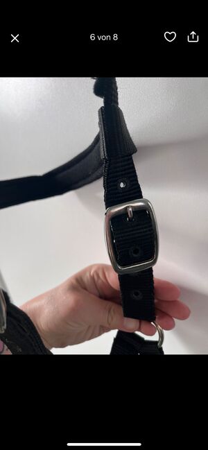 Equiva Kappzaum Größe FULL, Equiva Kappzaum, Madita Kay, Halters, Wolfenbüttel, Image 4