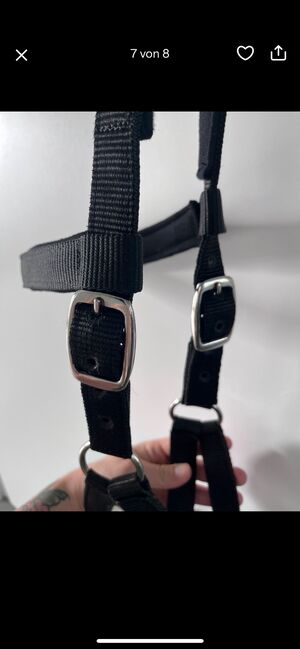 Equiva Kappzaum Größe FULL, Equiva Kappzaum, Madita Kay, Halters, Wolfenbüttel, Image 3